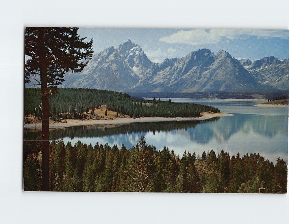 Postcard Jackson Lake And Teton Range Wyoming USA