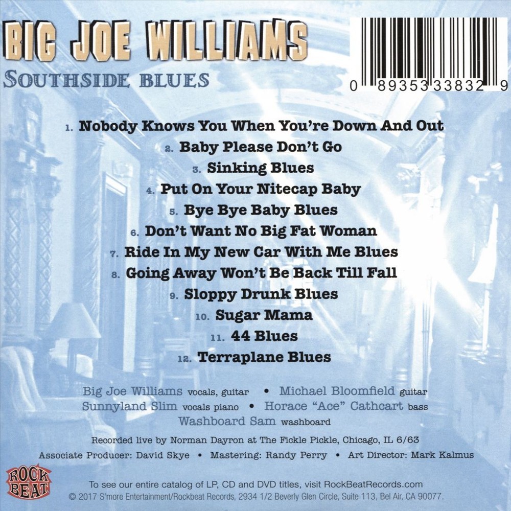 Big Joe Williams Southside Blues New Cd