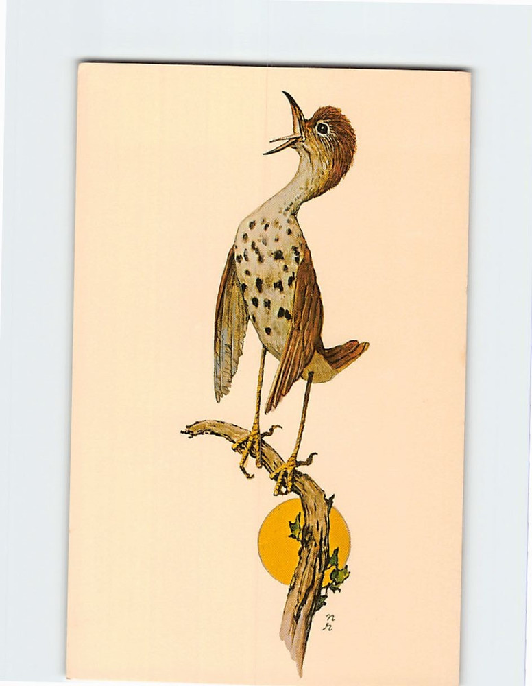 Postcard Wellie Was Different Tale By Molly & Norman Rockwell
