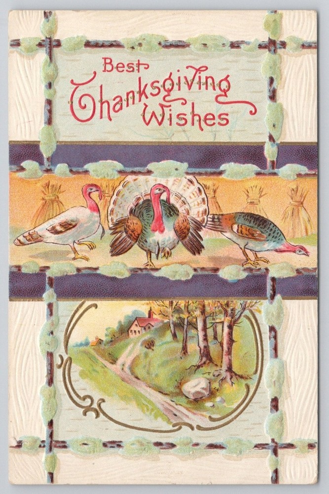 1910 Thanksgiving Turkeys Embossed Postcard - Rural Farm Scene