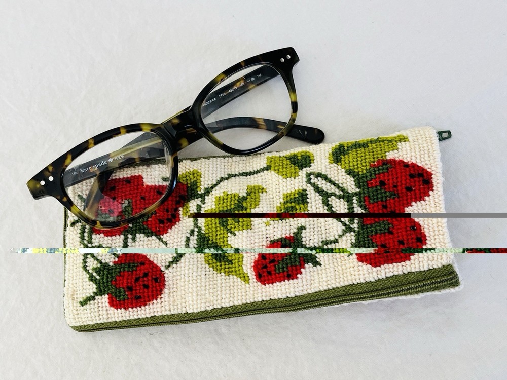 Vintage Needlepoint Eyeglass Case with Strawberries and Vines
