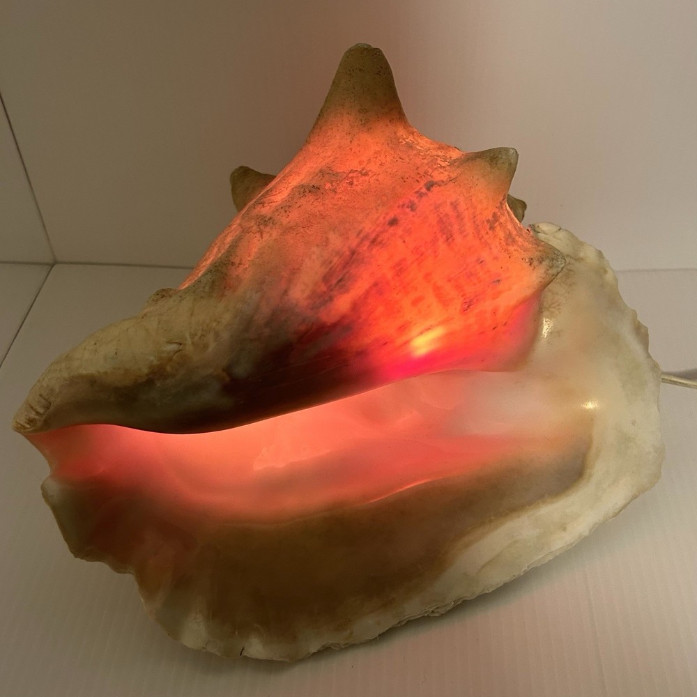 Large Conch Shell Light Up Lamp Beach Ocean Decor Vintage MCM Corded Works