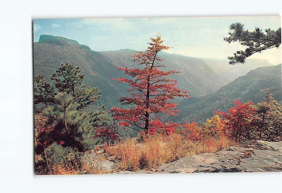 Postcard Linville Gorge from Wiseman's View North Carolina USA