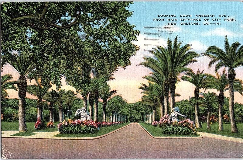 Postcard ROAD SCENE New Orleans Louisiana LA m/09 AJ2314