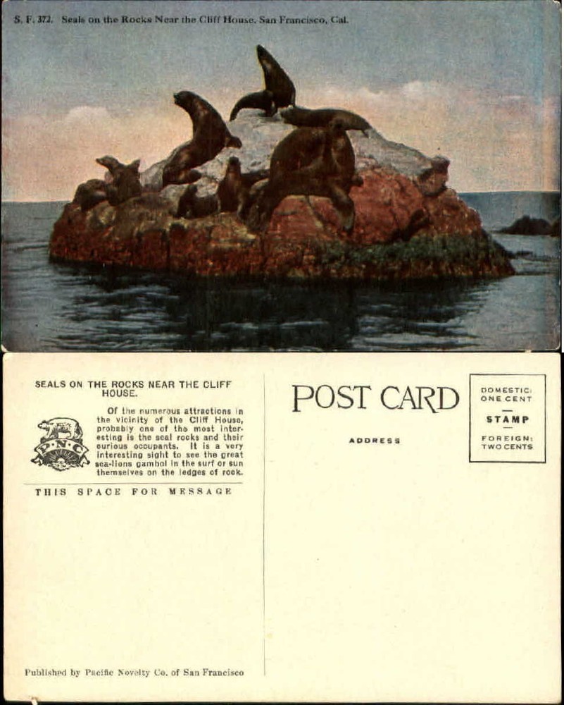 Seals on Rocks near Cliff House San Francisco California ~ PNC ~ c1910