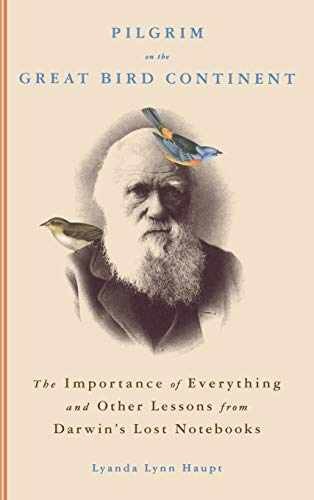 Pilgrim on the Great Bird - Hardcover, by Haupt Lyanda Lynn - Very Good g