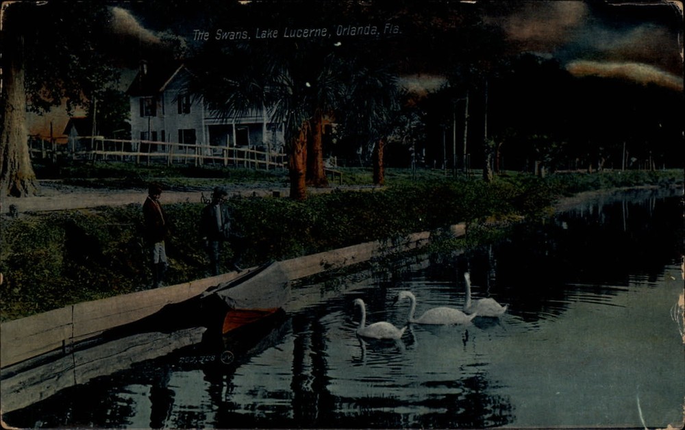 Orlando Florida ~ Lake Lucerne swans canoe ~ 1908 to D. Stitler Uwchland PA