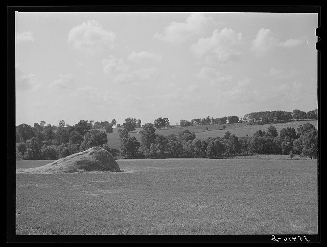 Photo:Oldham County Kentucky 1940 Farm Field Haystack Rural Landscape