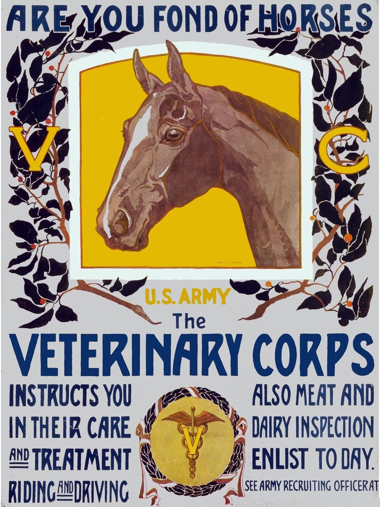 7940.Decoration Poster.Home Room wall fashion art design.Veterinary Corps.Horses