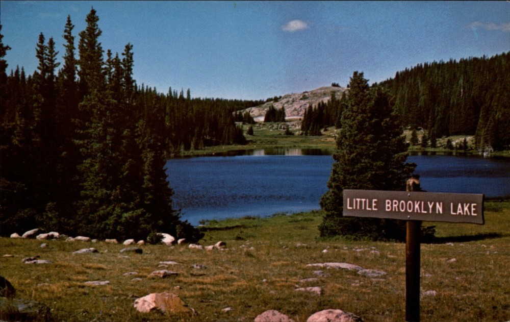 Little Brooklyn Lake Medicine Bow National Forest Wyoming ~ 1970s postcard