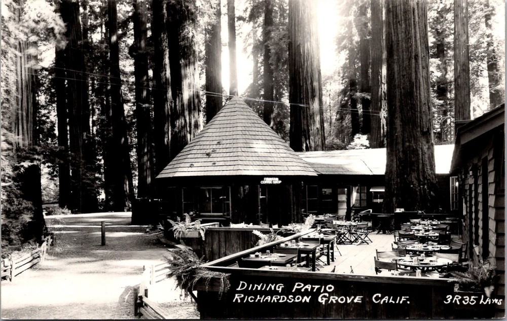Garberville CA Richardson Grove State Park Humboldt County RPPC Postcard   35314