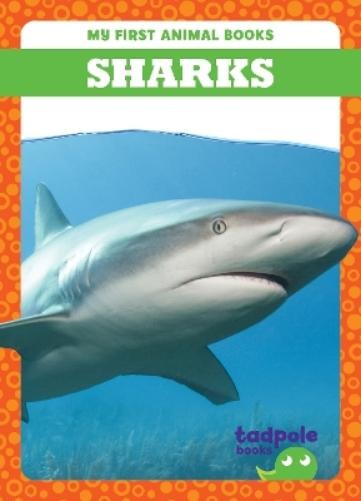 Natalie Deniston Sharks (Hardback) My First Animal BooksAnother great item from Rarewaves USA | Free delivery!