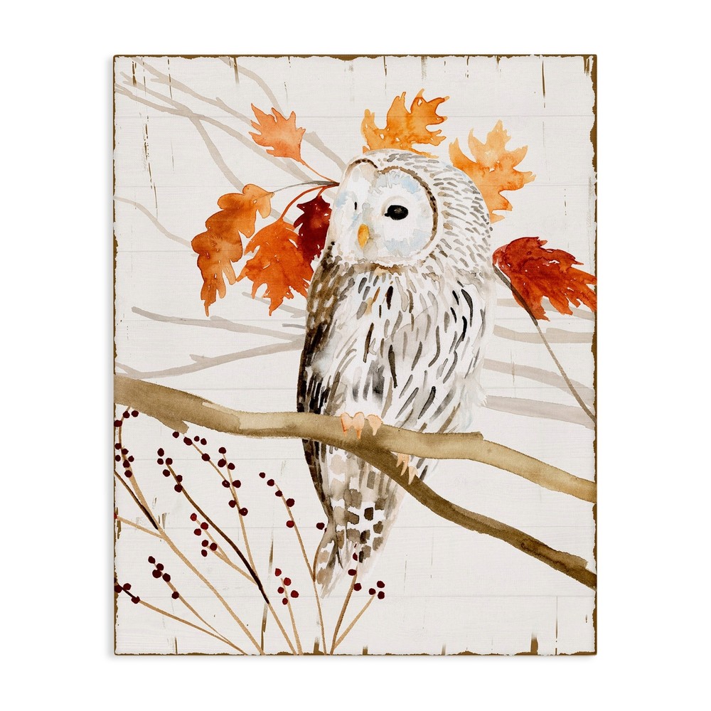 Stupell Owl In Fall Forest Animal Watercolor Painting Canvas