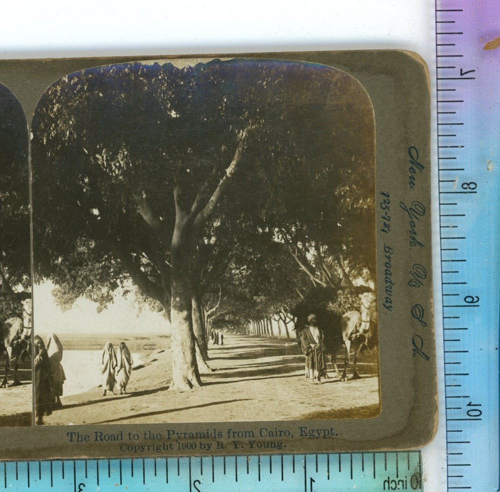 Road to Pyramids from Cairo Egypt American Stereoview