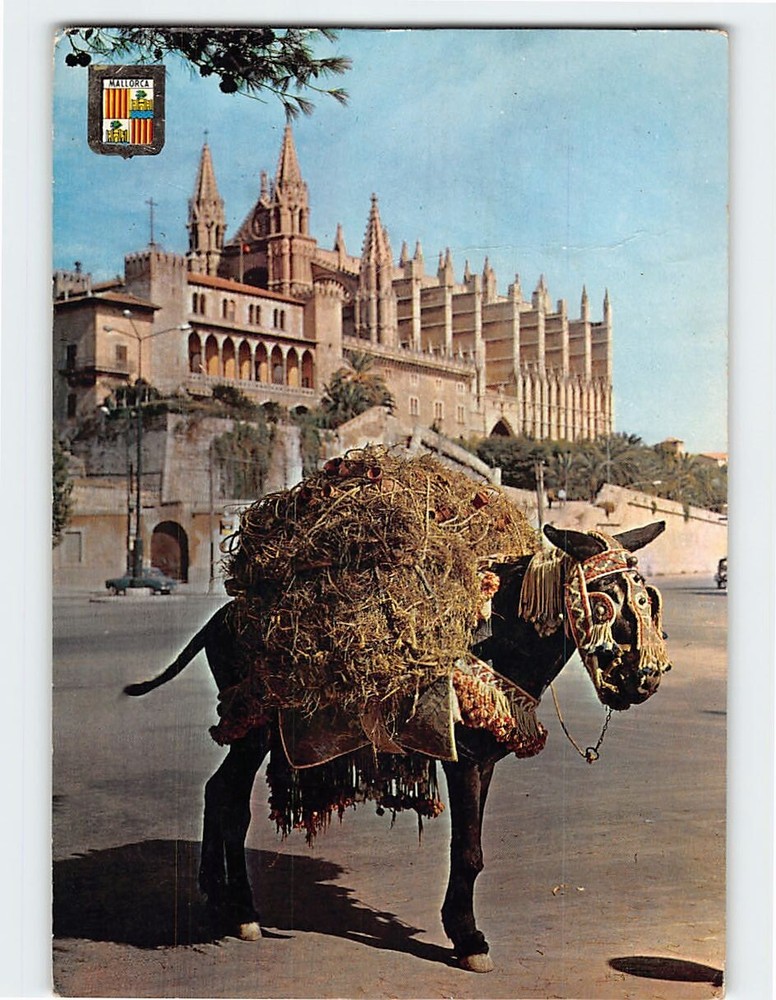 Postcard Ass of seller typical Reard and Cathedral Palma Spain