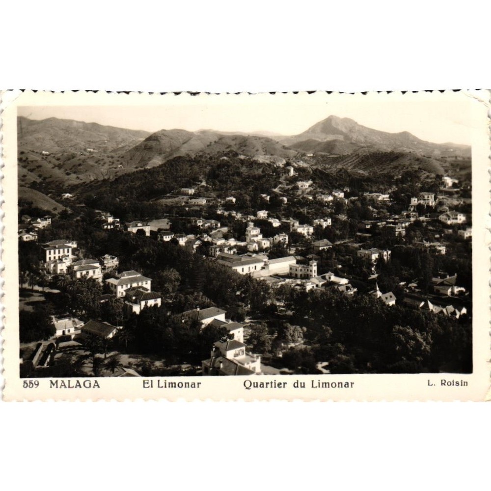 Malaga El Limonar Spain Vintage Postcard Hillside City View RPPC