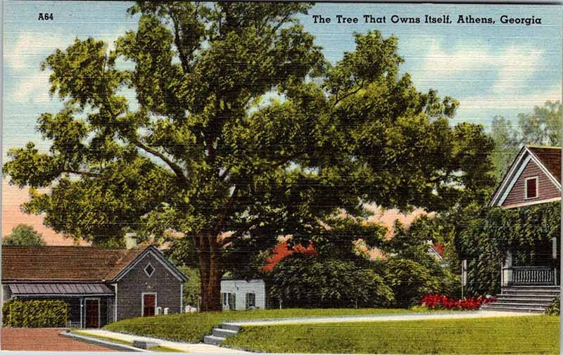 Postcard HOUSE SCENE Athens Georgia GA m/09 AK4336