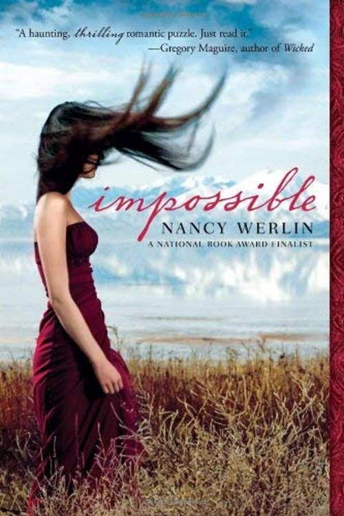 Impossible Paperback Nancy WerlinFree US Delivery | ISBN:0142414913