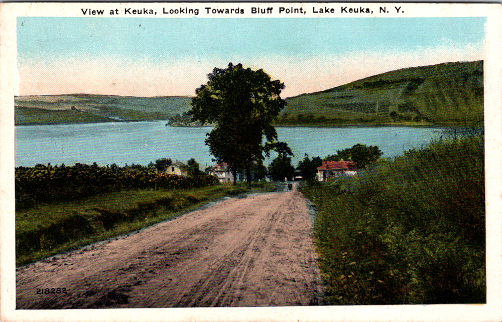 Vintage Postcard Lake Keuka Bluff Point New York Country Road View
