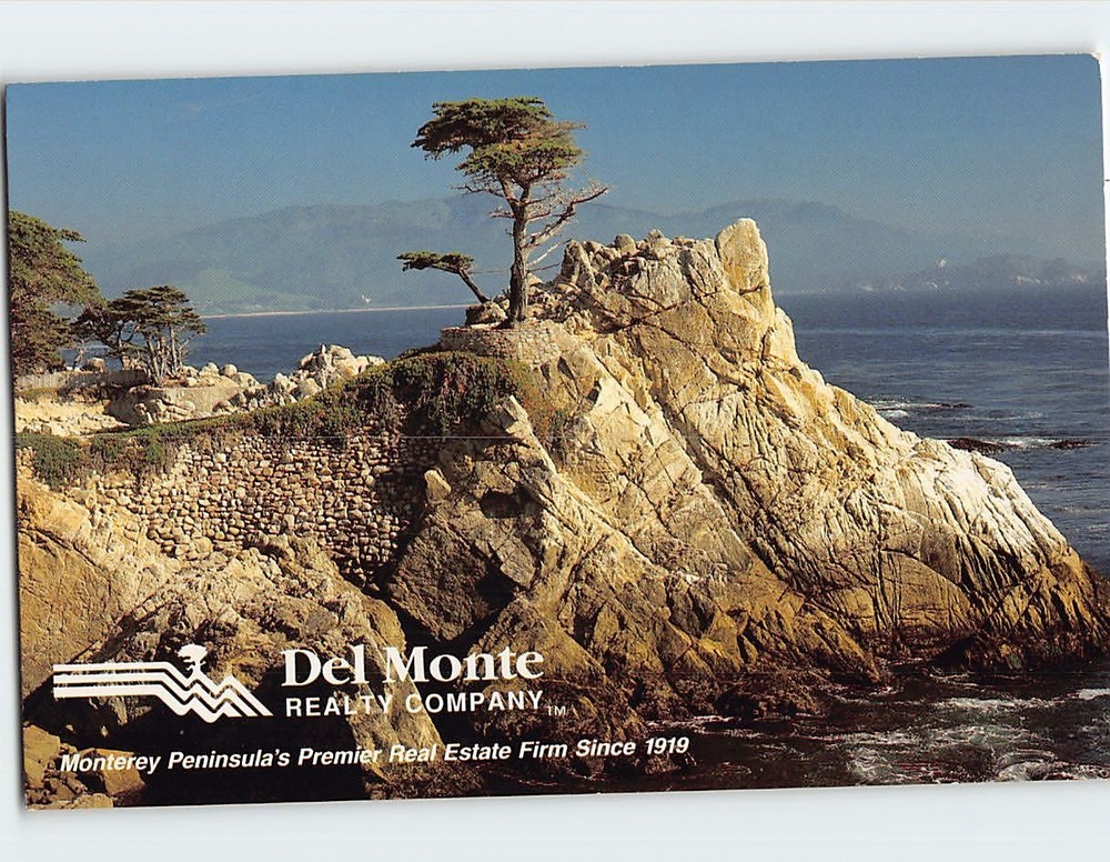 Postcard Lone Cypress Tree Monterey Pebble Beach California USA