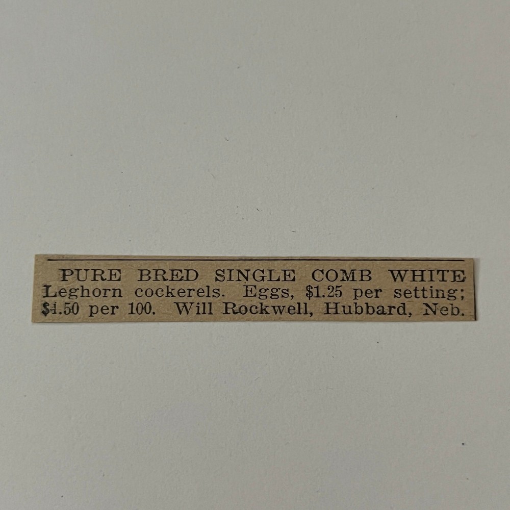 Pure Bred Single Comb White Will Rockwell Hubbard NE 1911 Ad SAG9-S12