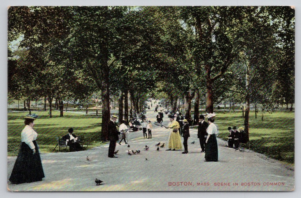 Boston Common Park Scene Postcard, Edwardian Era, Mason Bros. & Co. Germany