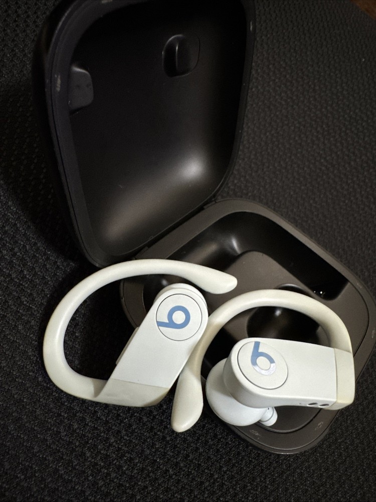 Wireless Earbuds By Beats By Dr. Dre Powerbeats Pro In Earphones Sky Blue