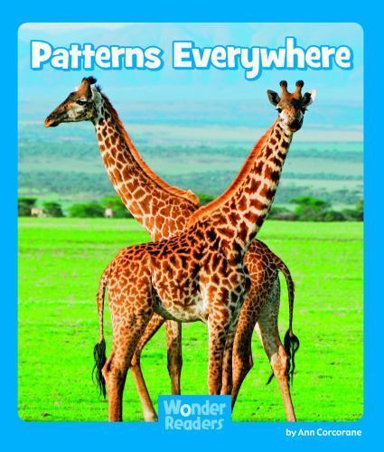 Patterns Everywhere, Paperback by Corcorane, Ann, Brand New, Free shipping in...