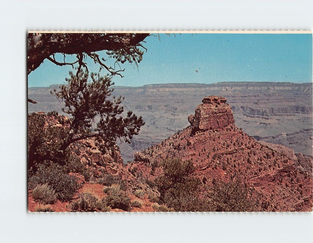 Postcard The Kaibab Trail Grand Canyon National Park Arizona