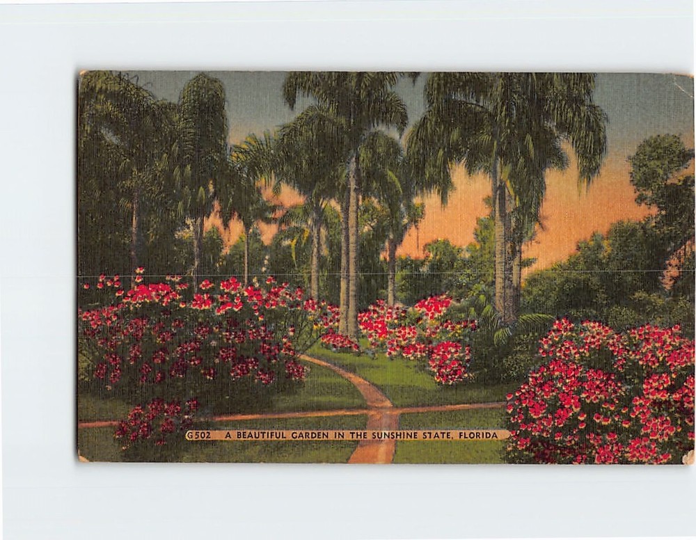 Postcard A Beautiful Garden In The Sunshien Estate Florida USA