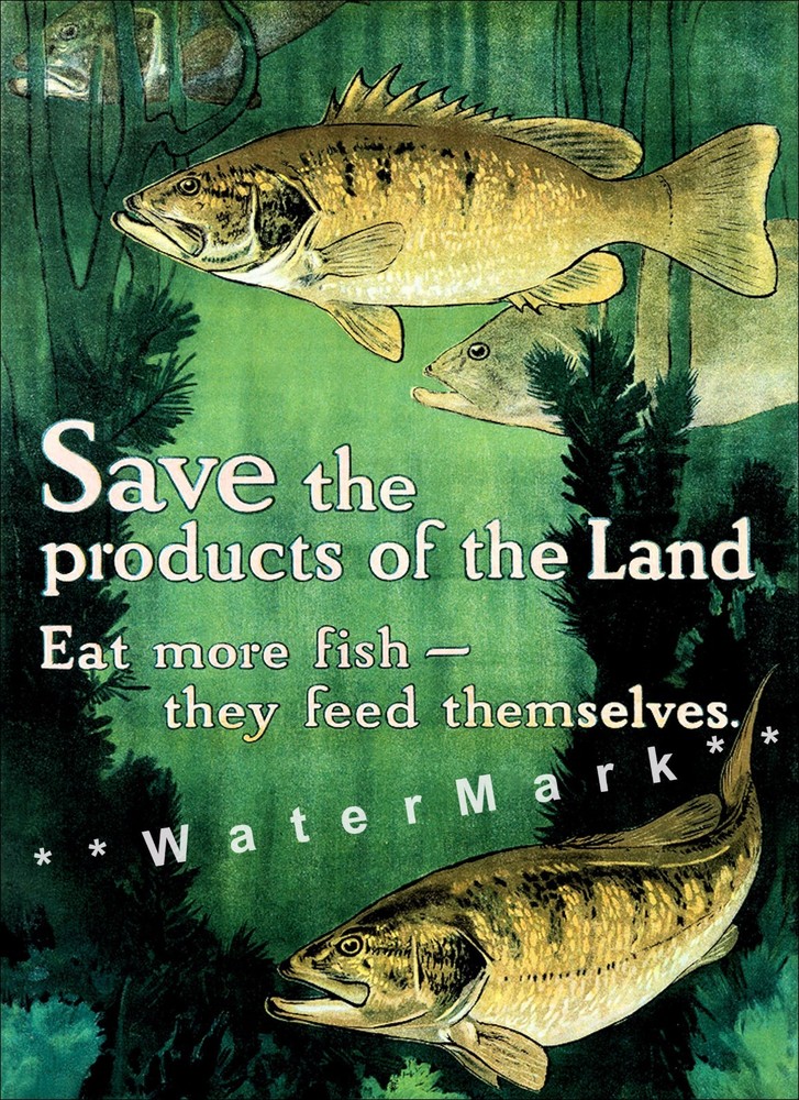 Eat More Fish 1917 Vintage Poster Print WPA Conservation Poster Art