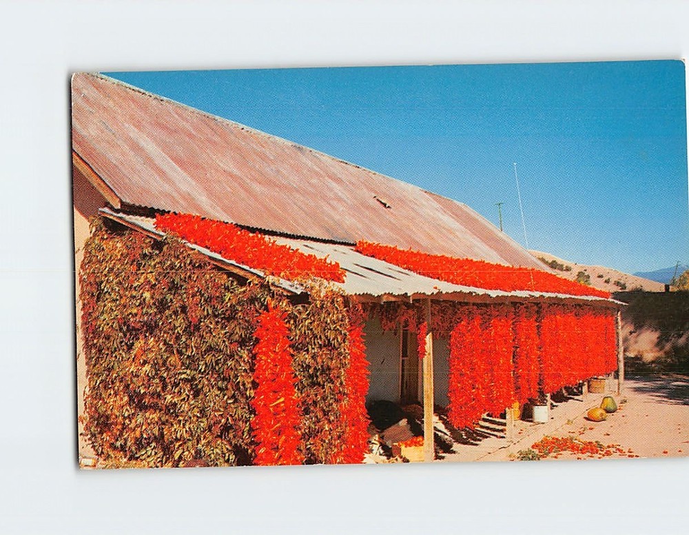 Postcard Chili Peppers Hanging from a Roof of a Native Hut