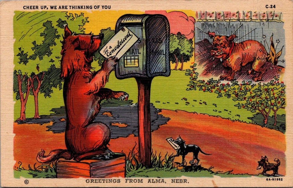 Vintage Alma Nebraska Dog Comic Get Well Soon Curteich Linen Postcard