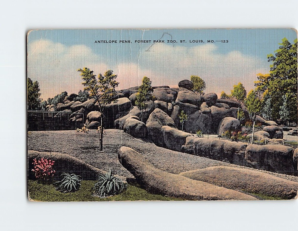 Postcard Antelope Pens Forest Park Zoo St. Louis Missouri USA