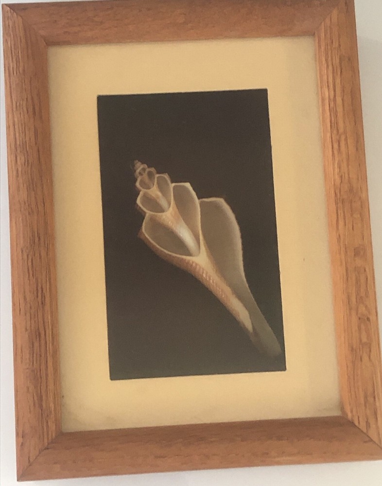 Figi Giftware Shell San Diego wood frame