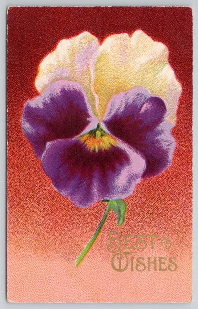 Vintage Pansy Flower 
