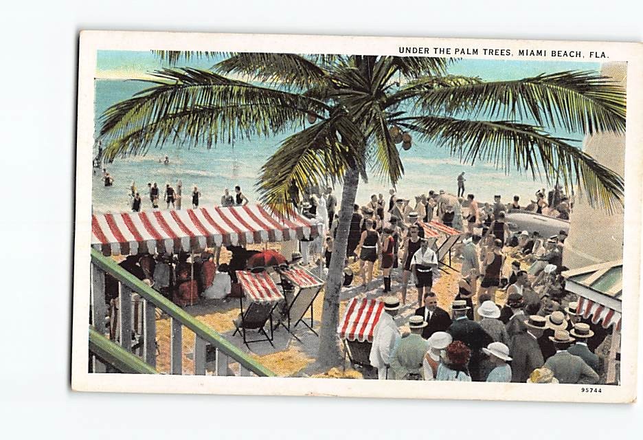 Postcard Under The Palm Trees Miami Beach Florida USA