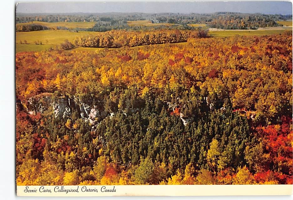 Postcard Scenic Caves Collingwood Canada