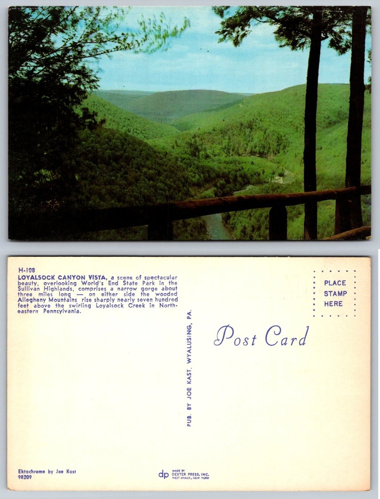 Loyalsock Canyon Vista World's End State Park PA Vintage Postcard