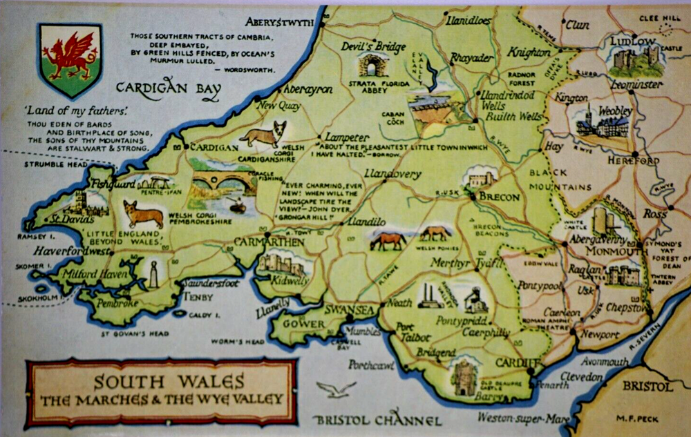 Postcard Comic Map South Wales Marches Wye Valley Carmarthen M. F. Peck Salmon