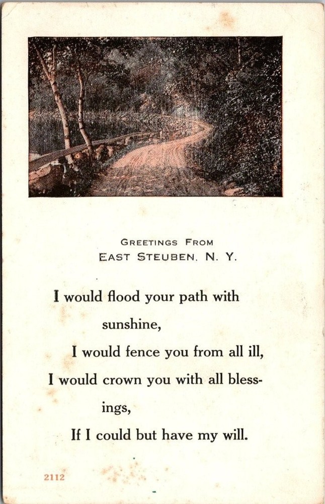East Steuben NY Postcard 1916 Sentimental Poem Camden Postmark