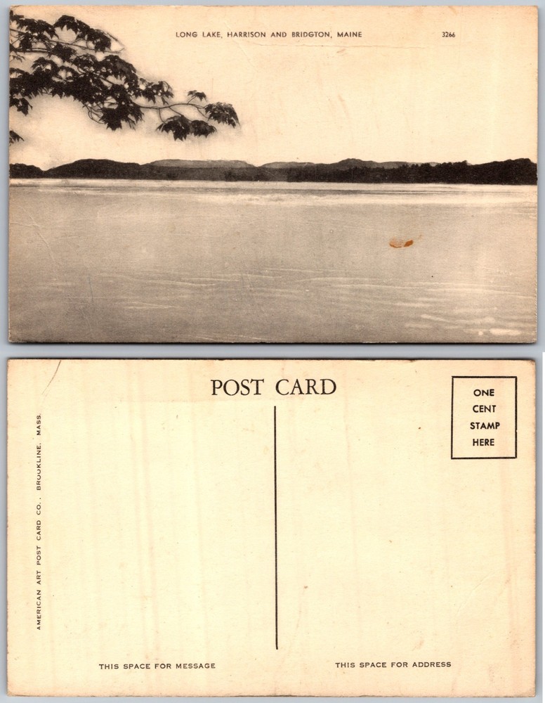 Long Lake Harrison Bridgton Maine Water Mountains Postcard