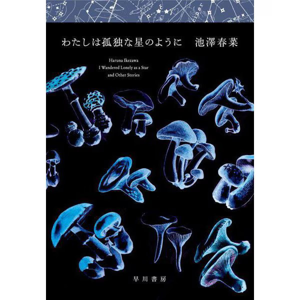 Hardcover Book I'm Like a Lonely Star Novel Excellent Japan Import For Ages 14+