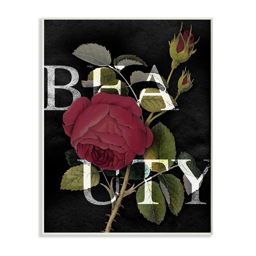 Stupell Beauty Text over Vintage Red Thorned Rose Wood Wall