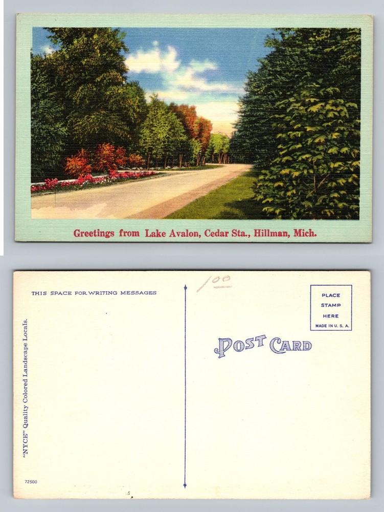 Lake Avalon, MI-Michigan, Cedar Street Scene Floral Border Old Vintage Postcard