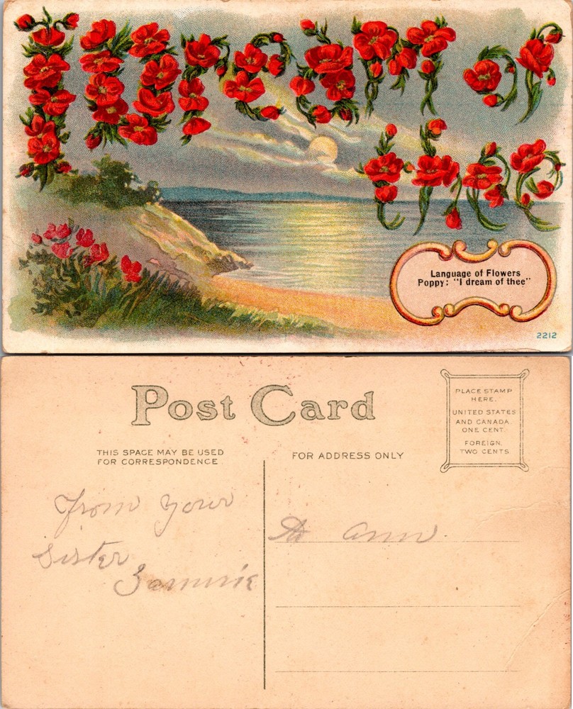 Poppies I Dream of Thee Language of Flowers Postcard