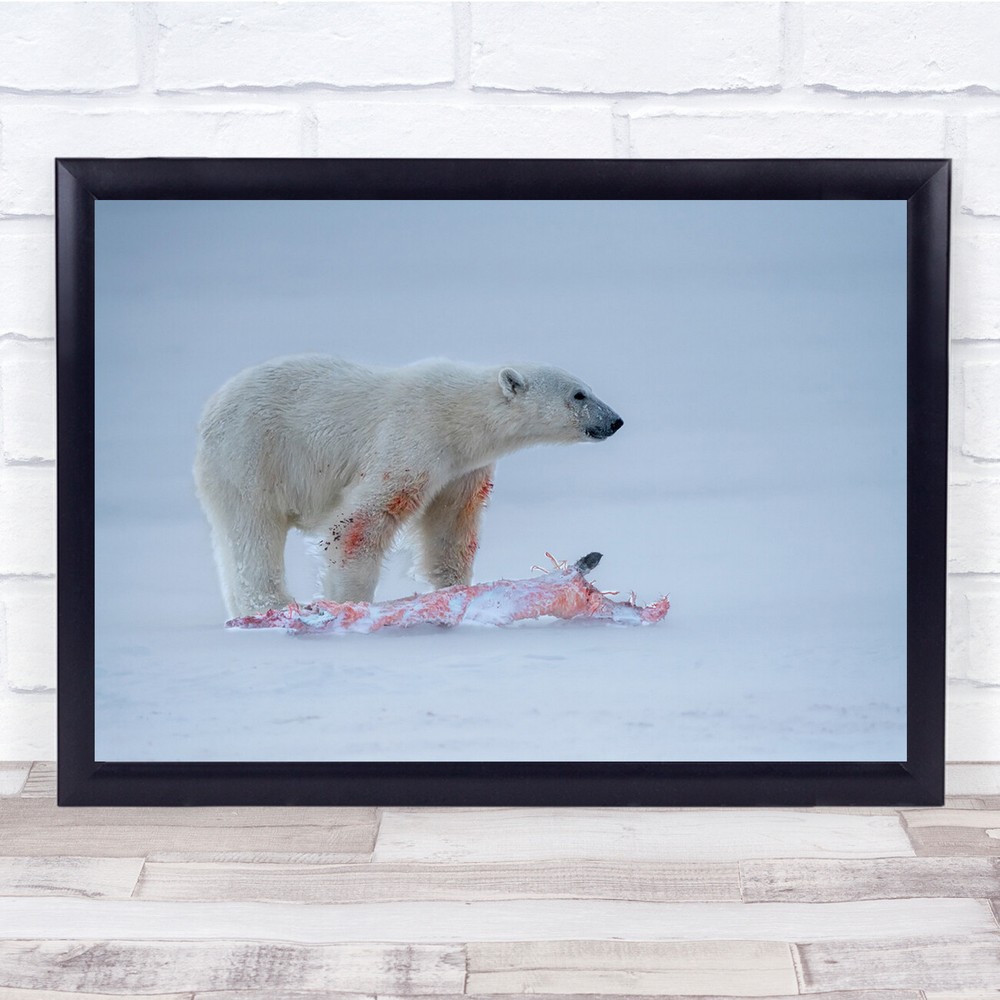 Polar Bear Hunting animal predator nature wildlife Wall Art Print