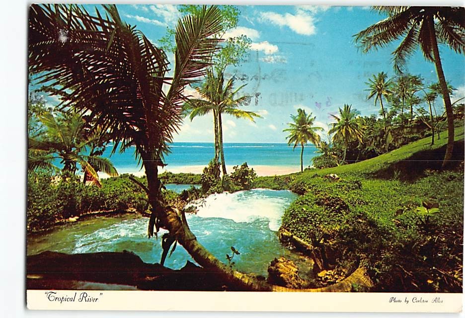Postcard Tropical River Jamaica