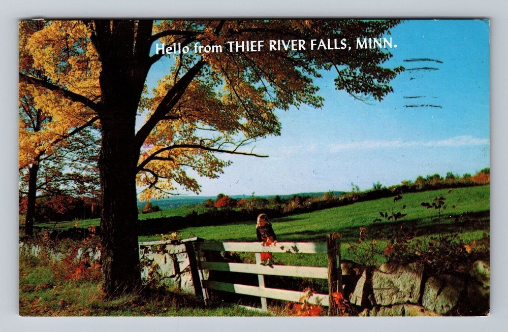 Thief River Falls MN-Minnesota Hello From Thief River Falls Vintage Postcard