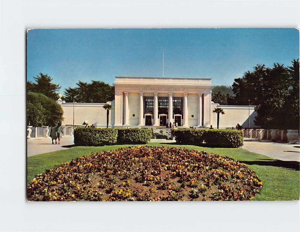 Postcard Steinhart Aquarium California Academy of Sciences San Francisco CA-image